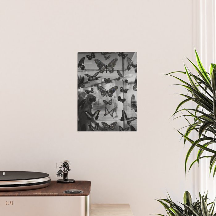 BLACK AND WHITE BUTTERFLIES | photo | sparkle and shine | wings | aesthetic | monochrome | fly  Poster Gallery Image 2