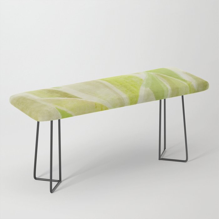 Agave Cactus in Morning Sunlight Bench Gallery Image 1