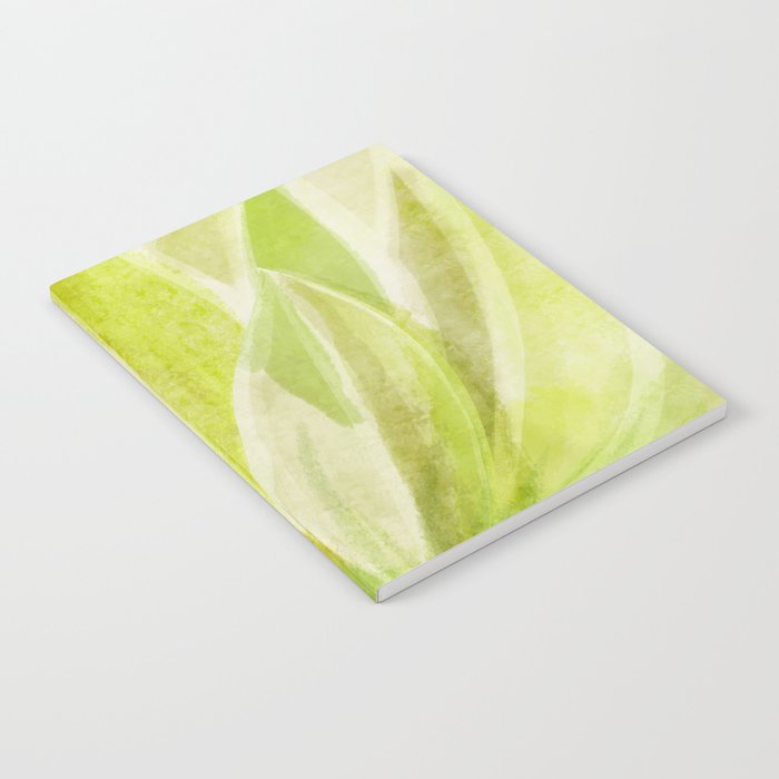 Agave Cactus in Morning Sunlight Notebook Gallery Image 1