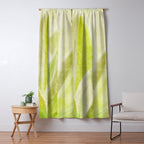 Agave Cactus in Morning Sunlight Window Curtain Gallery Image 5