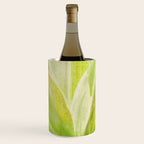 Agave Cactus in Morning Sunlight Wine Chiller Gallery Image 1