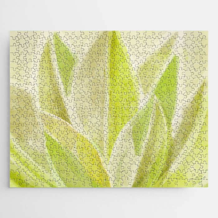 Agave Cactus in Morning Sunlight Jigsaw Puzzle Gallery Image 1