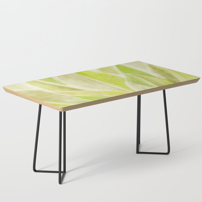 Agave Cactus in Morning Sunlight Coffee Table Gallery Image 1