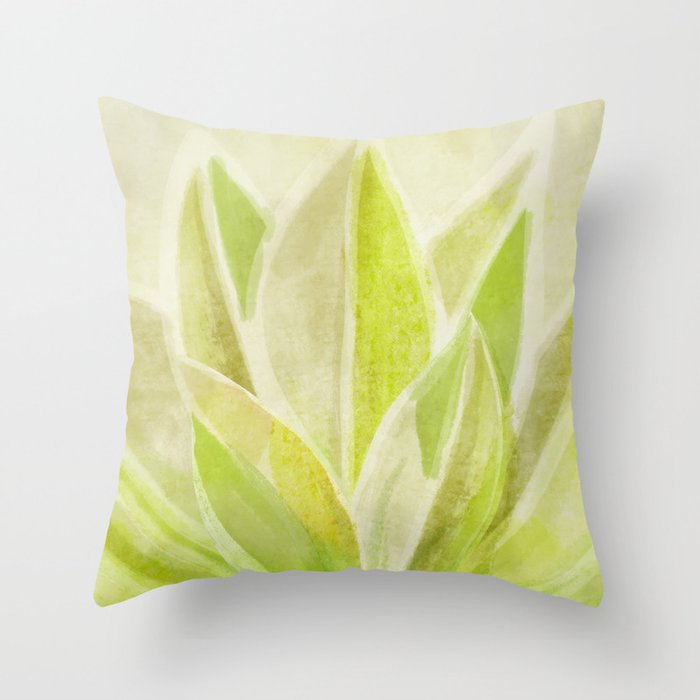 Agave Cactus in Morning Sunlight Throw Pillow Gallery Image 6
