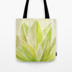 Agave Cactus in Morning Sunlight Tote Bag Gallery Image 1