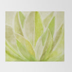 Agave Cactus in Morning Sunlight Throw Blanket Gallery Image 2