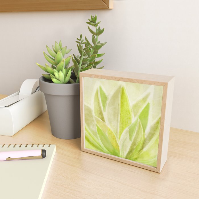 Agave Cactus in Morning Sunlight Mini Art Print Gallery Image 2