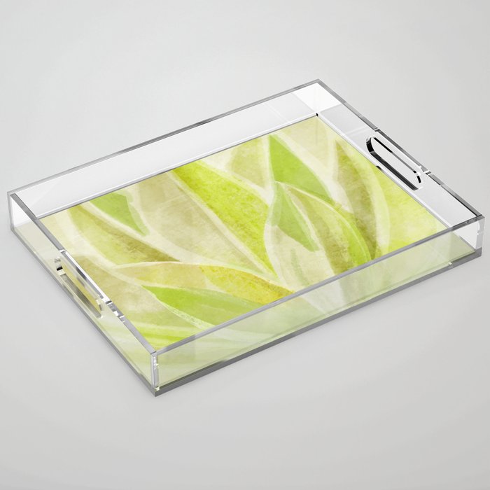 Agave Cactus in Morning Sunlight Acrylic Tray Gallery Image 1