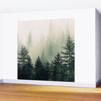 Foggy Pine Trees Wall Mural Gallery Image 2