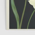 Beautiful Summer flowers I Poster Gallery Image 3