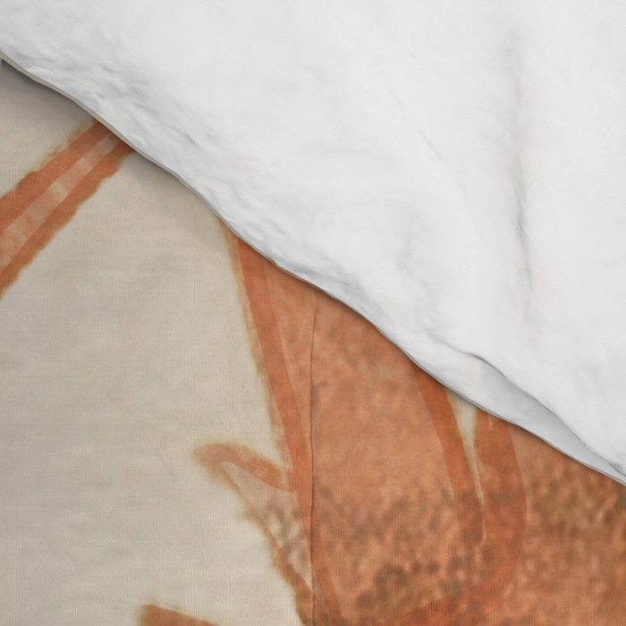 Lobster 7 Comforter Gallery Image 4