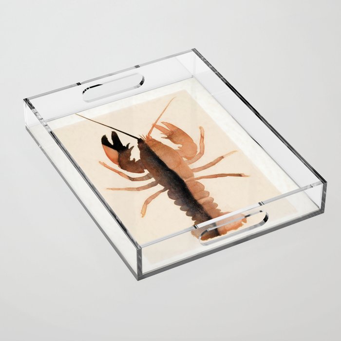Lobster 7 Acrylic Tray Gallery Image 1