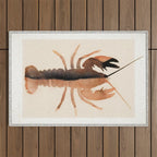 Lobster 7 Outdoor Rug Gallery Image 1