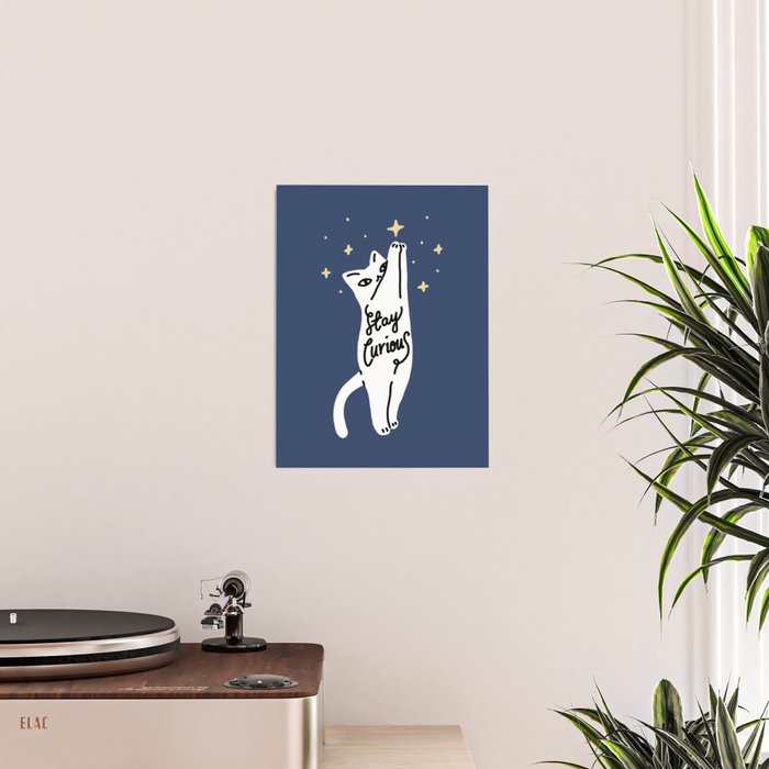 Stay Curious Cat Poster Gallery Image 2