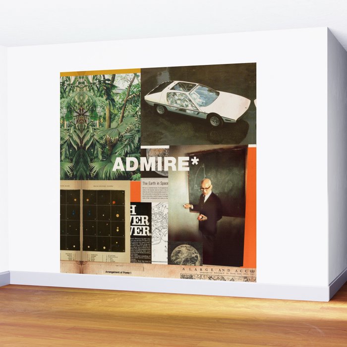 Admire Wall Mural Gallery Image 2