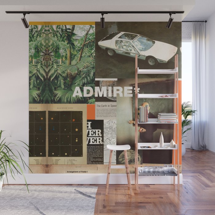Admire Wall Mural Gallery Image 1