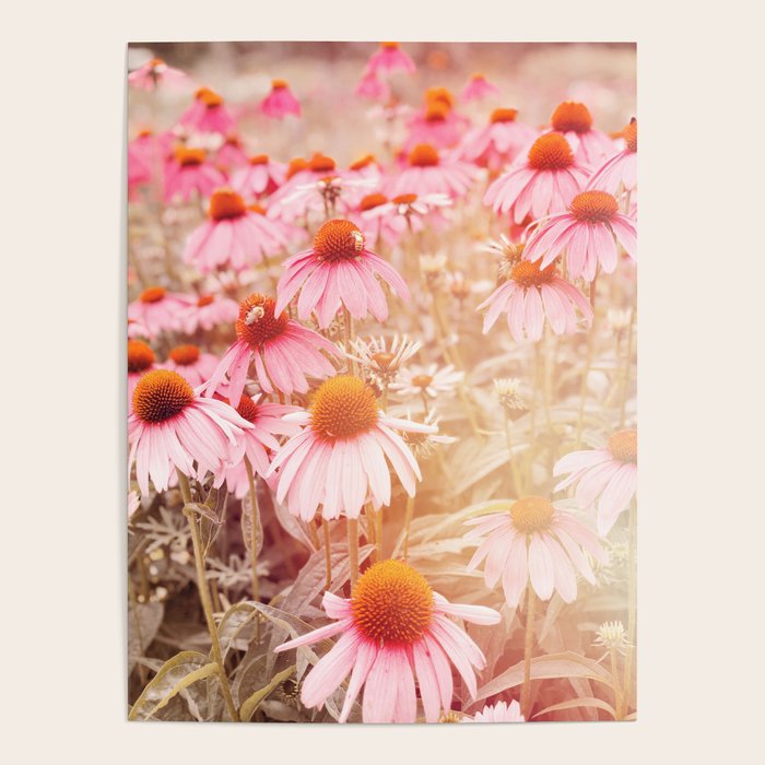 37 Flowers Poster Gallery Image 1