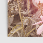 37 Flowers Poster Gallery Image 3