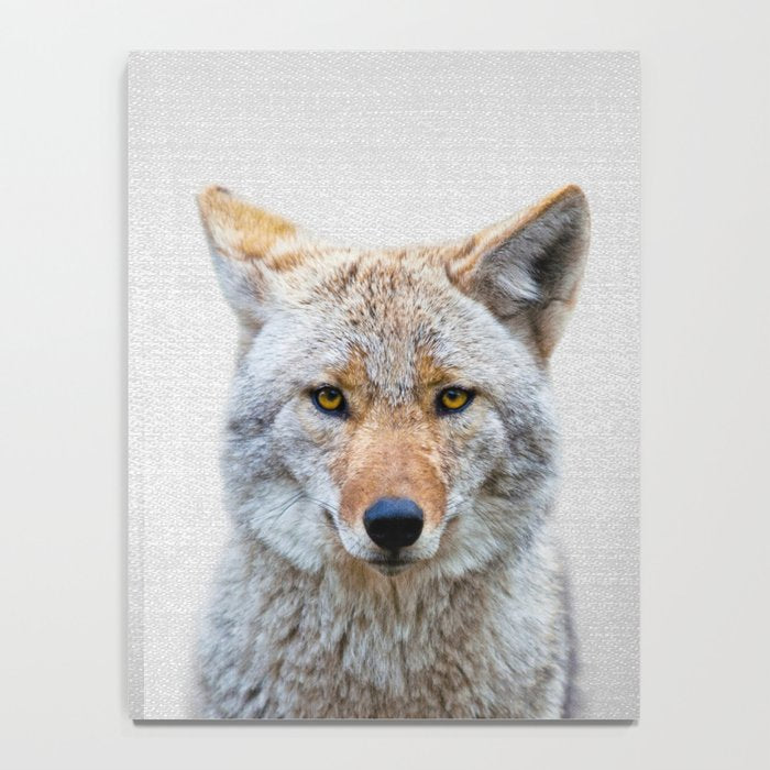 Coyote - Colorful Notebook Gallery Image 4