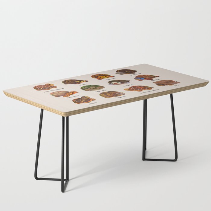 Box turtle Coffee Table Gallery Image 1