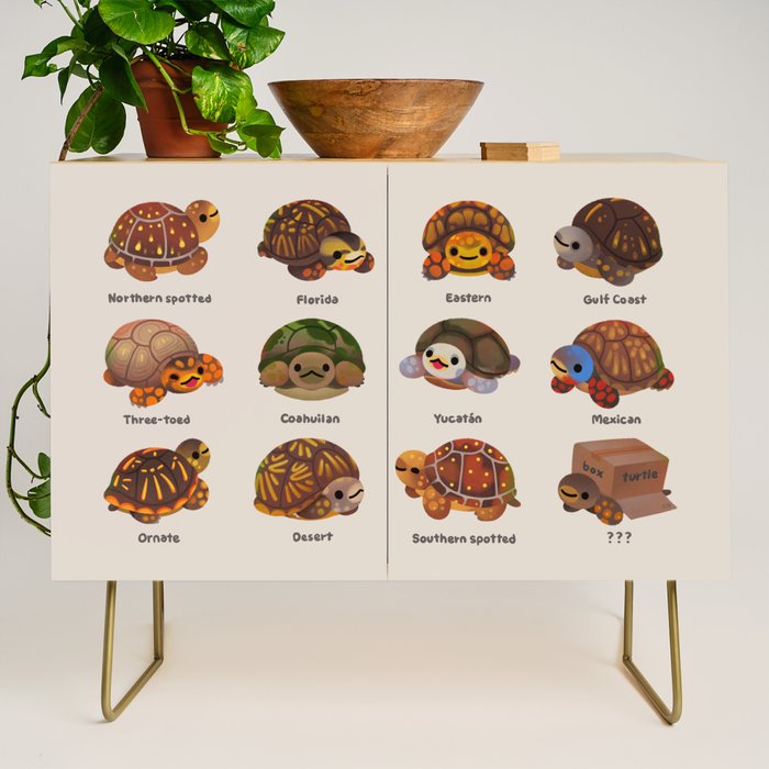 Box turtle Credenza Gallery Image 1