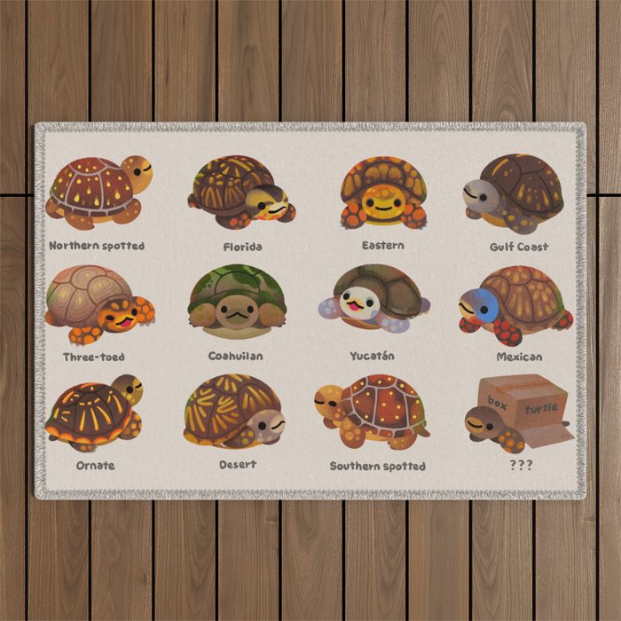 Box turtle Outdoor Rug Gallery Image 1
