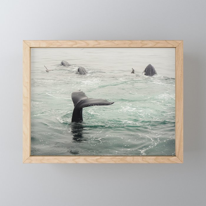 Whale Tail - ocean humpback whale photograph Mini Art Print Gallery Image 1