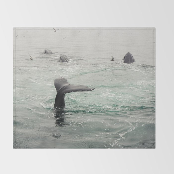 Whale Tail - ocean humpback whale photograph Throw Blanket Gallery Image 2