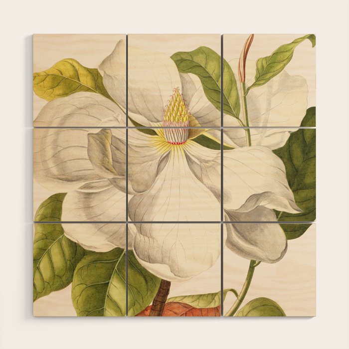 Magnolia Wood Wall Art Gallery Image 1