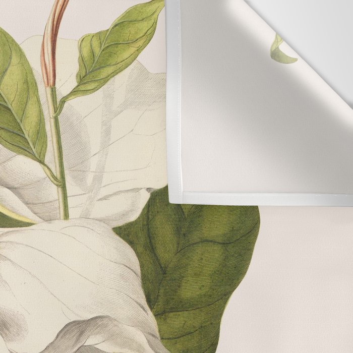 Magnolia Wall Tapestry Gallery Image 3