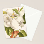 Magnolia Stationery Card Gallery Image 2