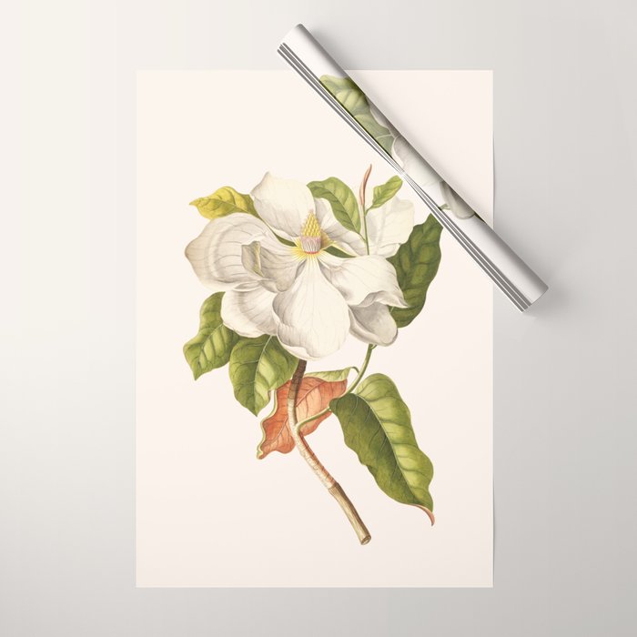 Magnolia Wrapping Paper Gallery Image 1