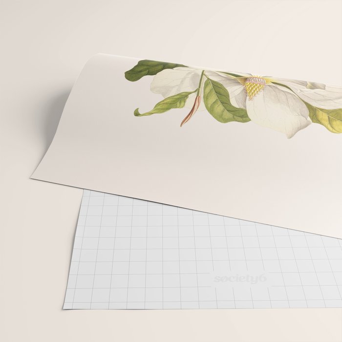 Magnolia Wrapping Paper Gallery Image 2