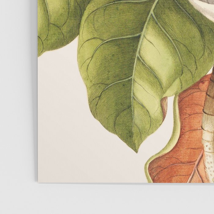 Magnolia Poster Gallery Image 3