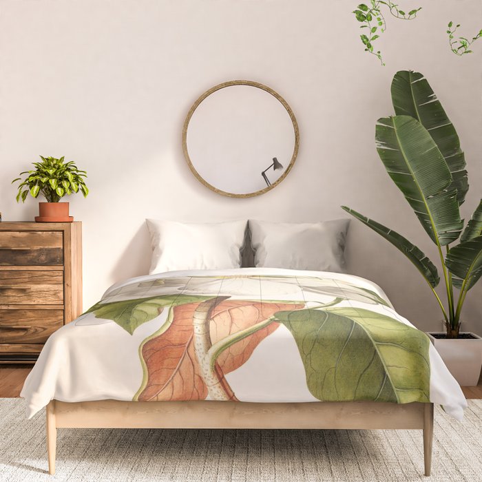 Magnolia Comforter Gallery Image 3