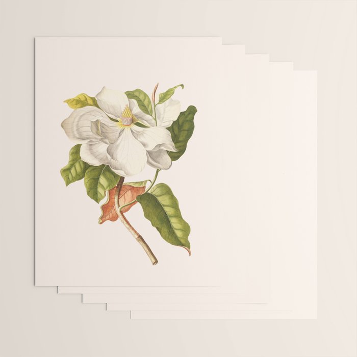 Magnolia Wrapping Paper Gallery Image 3