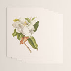 Magnolia Wrapping Paper Gallery Image 3