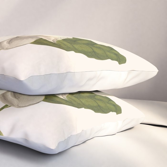 Magnolia Pillow Sham Gallery Image 3