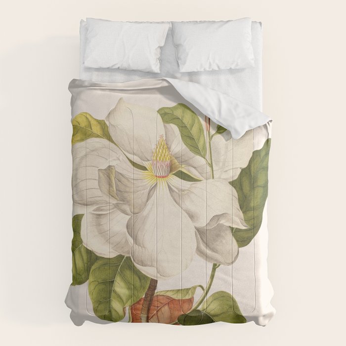 Magnolia Comforter Gallery Image 6