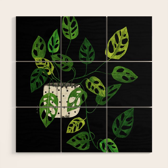 Back monstera obliqua Wood Wall Art Gallery Image 1