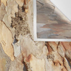 Eucalyptus Tree Peeling Bark Abstract Wall Tapestry Gallery Image 3