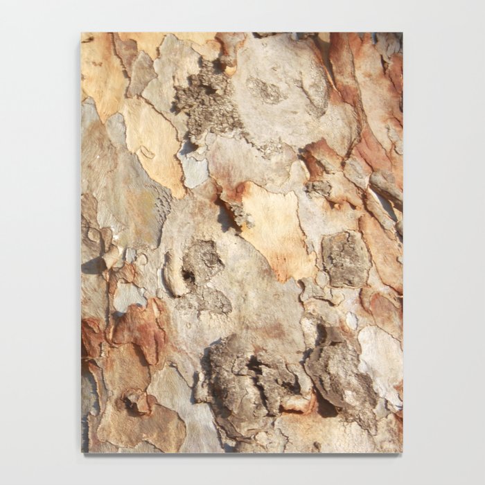 Eucalyptus Tree Peeling Bark Abstract Notebook Gallery Image 4