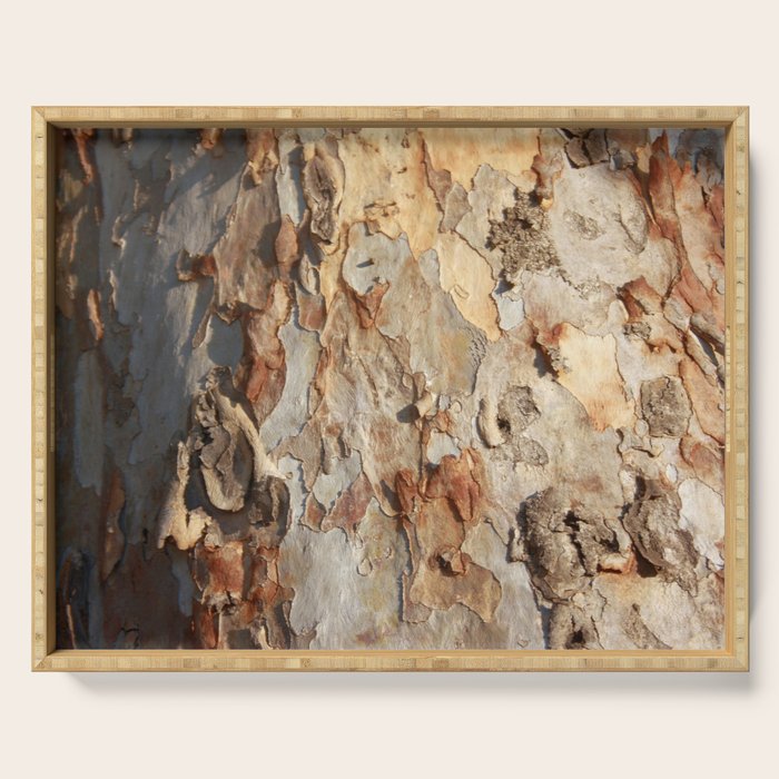 Eucalyptus Tree Peeling Bark Abstract Serving Tray Gallery Image 1