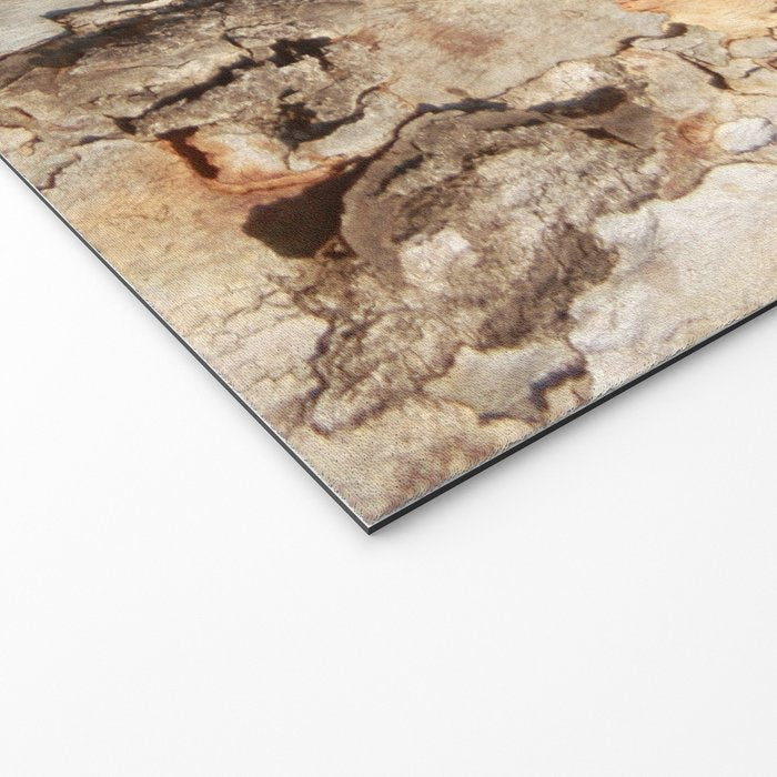 Eucalyptus Tree Peeling Bark Abstract Welcome Mat Gallery Image 2