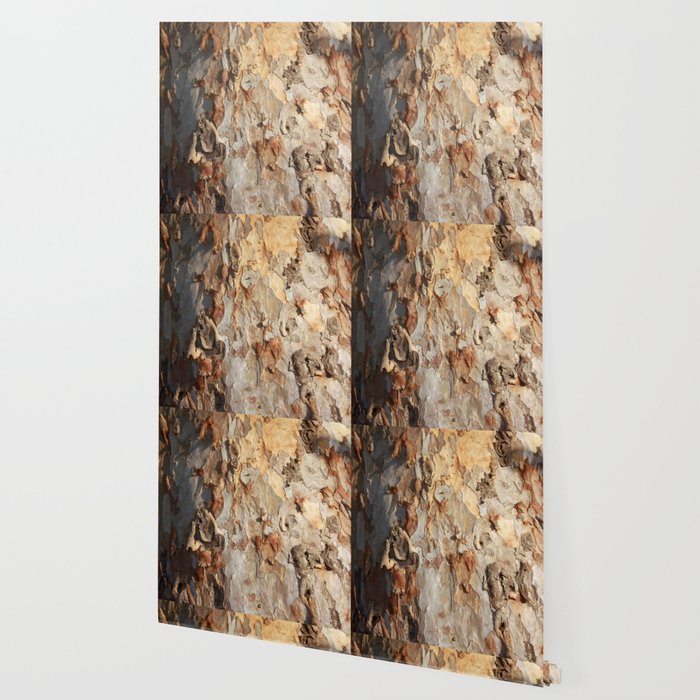 Eucalyptus Tree Peeling Bark Abstract Wallpaper Gallery Image 2