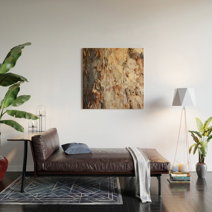 Eucalyptus Tree Peeling Bark Abstract Wood Wall Art Gallery Image 2