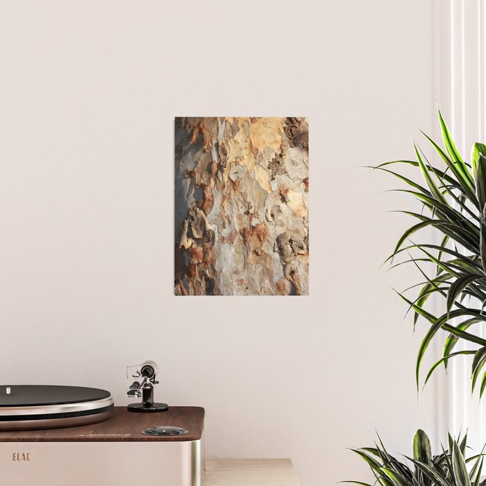 Eucalyptus Tree Peeling Bark Abstract Poster Gallery Image 2