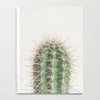 Cactus Notebook Gallery Image 4