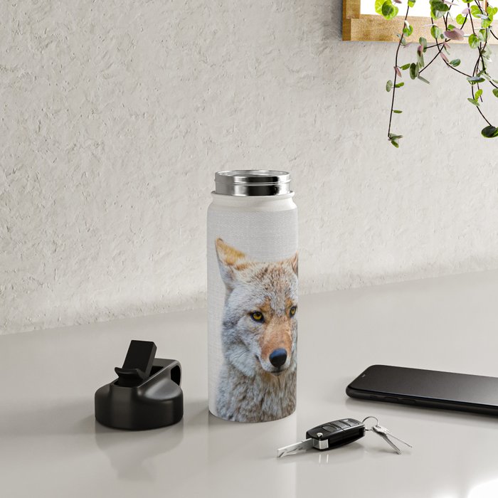 Coyote - Colorful Water Bottle Gallery Image 5
