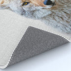 Coyote - Colorful Rug Gallery Image 4